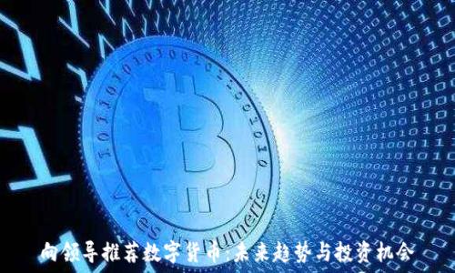   
向领导推荐数字货币：未来趋势与投资机会