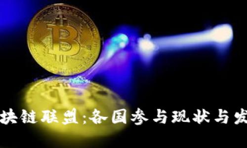 全球区块链联盟：各国参与现状与发展潜力