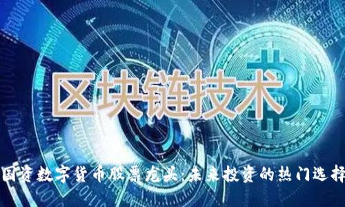 国资数字货币股票龙头：未来投资的热门选择